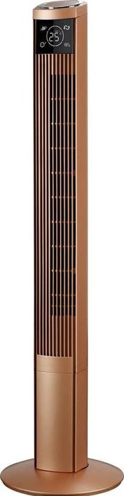 Biswind Turmventilator (50 dB)