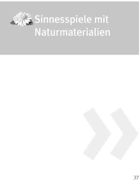 Actual product image Die 50 besten Wald- und Wiesenspiele (German, Andrea Erkert, 2012)