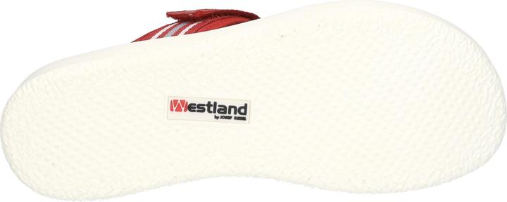 Image du produit Westland 25404-410 (38)