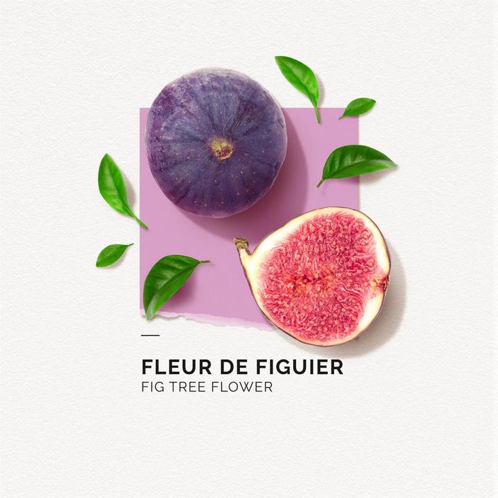 Produktbild Solinotes Paris Solinotes - Fleur De Figuier Eau De Parfum (Eau de Parfum, 50 ml)