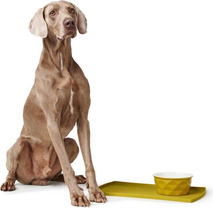 Actual product image Hunter Ceramic bowl Eiby (1.90 l)