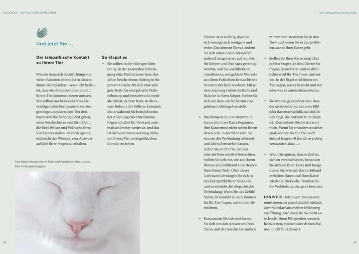 Actual product image Was will mir meine Katze sagen? (German, Helke Brandt, 2023)