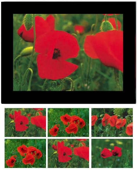 Image du produit Baback Haschemi Cartes doubles 818 FLEURS DE MONTAGNE (1 pcs)