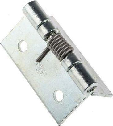 Actual product image Rs Pro ZnPt steel piano sprung hinge, 50 x 50mm