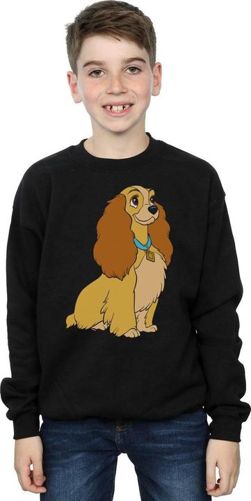 Actual product image Disney Boys Lady And The Tramp Lady Spaghetti Heart Sweatshirt (140, 146)