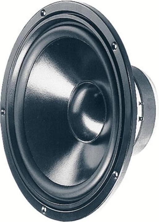 Actual product image Visaton HiFi woofer W 250 S, 8 Ohm