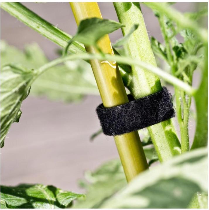 Actual product image Windhager Universal velcro tie (500 cm, 1.20 cm)