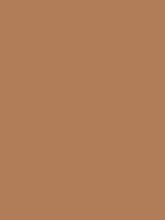 Produktbild Bleuforêt Nude Kniestrumpf 12D (One Size)