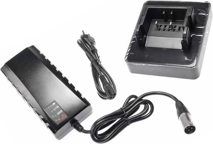 Actual product image BMZ Fast charger for 26V Panasonic Deluxe e-bike battery Flyer Deluxe (E-bike charger)