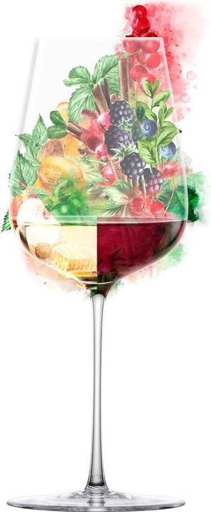 Actual product image Eisch All-round wine glasses Essenca SensisPlus (58 cl, 2 Glasses, White wine glasses)