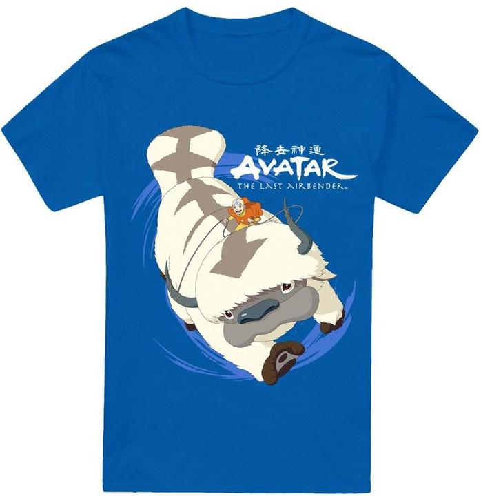 Produktbild Avatar: The Last Airbender In Flight TShirt (M)