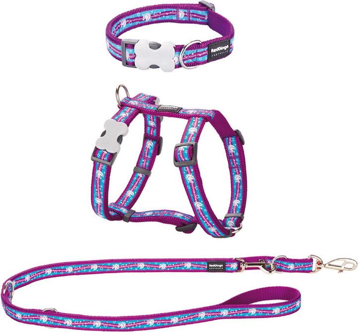 Actual product image Red Dingo Puppy Kit (XS, Dog, Dog sport)