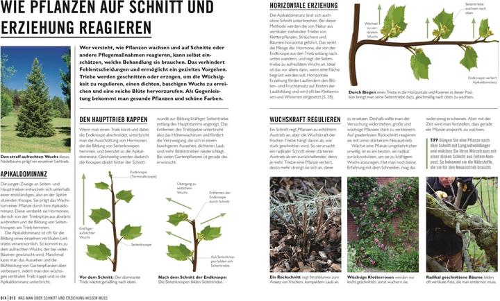 Immagine prodotto Grünes Gartenwissen. Pflanzen richtig schneiden (Tedesco, Stephanie Mahon, Reinhard Ferstl, Casa editrice DK, 2022)