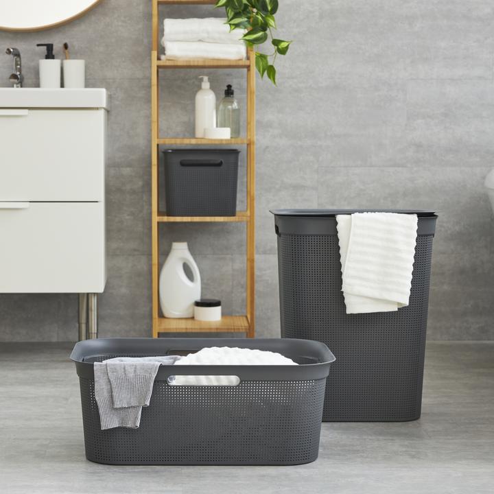 Image du produit Rotho Brises (41 l)