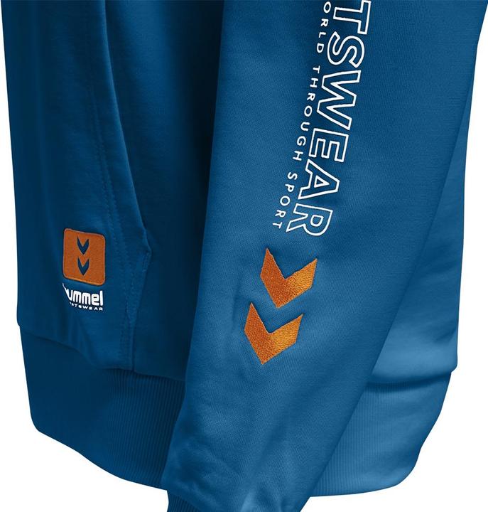 Actual product image hummel Lgc Birk Hoodie (XS)