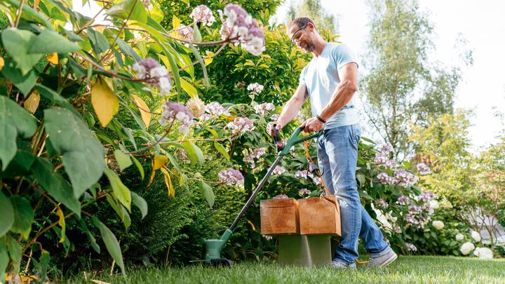 Actual product image Bosch Home & Garden EasyGrassCut 18V-26 (Trim line)