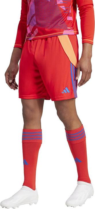 Actual product image adidas TIRO24 SHORT (L)
