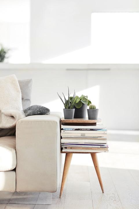 Immagine prodotto Ecopots Amsterdam Mini (8 cm)