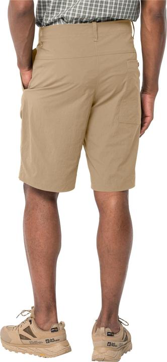 Actual product image Jack Wolfskin Desert Shorts M (52)