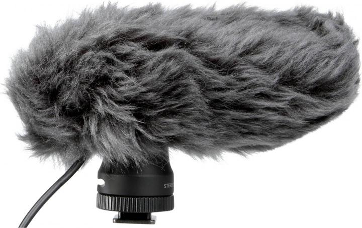 Immagine prodotto Panasonic Vw-Vms10e