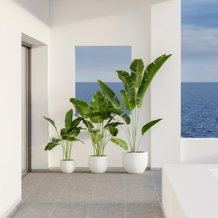 Produktbild Newgarden AZALEA 40 Pflanzkübel gross rund ø40x33cm terrakotta 20L mit Wasserspeicher outdoor