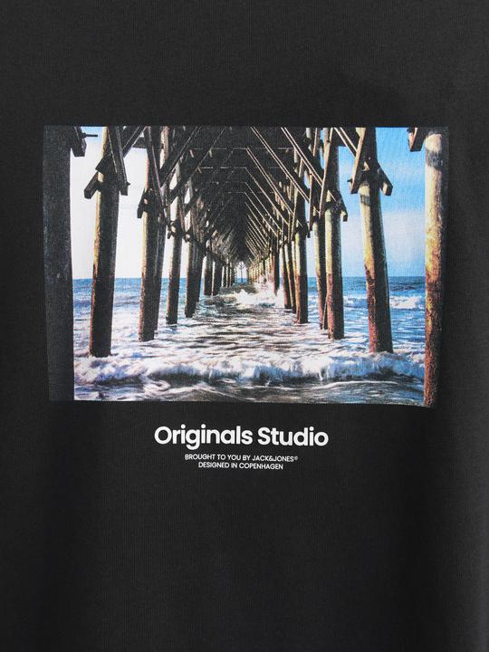 Actual product image Jack & Jones Jorvesterbro Picture Tee Ss Crew Neck Sn (XXL)