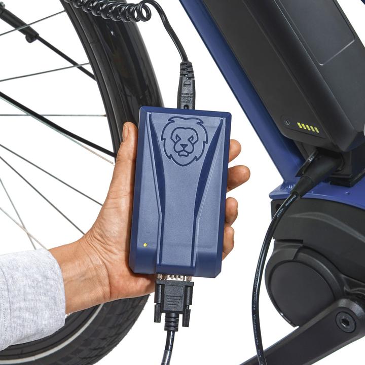Actual product image Lion Travel charger one4all for e-bike and e-scooter 36 V (900 Wh, E-bike charger)