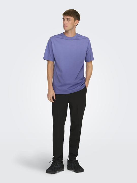 Actual product image Only & Sons Loose fit round neck T-shirt T-shirt (L)