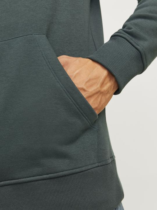 Actual product image Jack & Jones Jorportland Block Sweat Hood Ln (S)