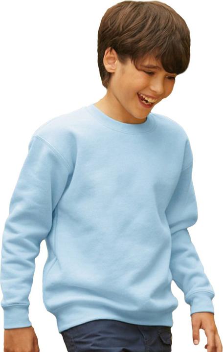 Produktbild Fruit of the Loom Pullover Premium 7030 (2 StückPackung) (116)