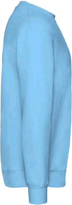 Produktbild Fruit of the Loom Pullover Premium 7030 (2 StückPackung) (116)