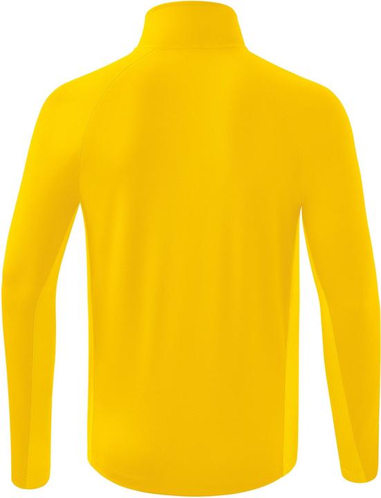 Actual product image Erima Liga Star training top (4XL)