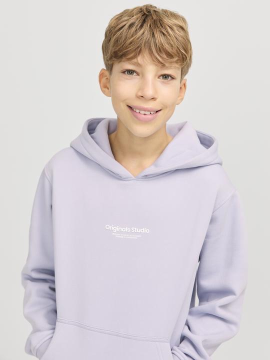 Produktbild Jack & Jones Jorvesterbro Sweat Hood Noos Jnr (176)