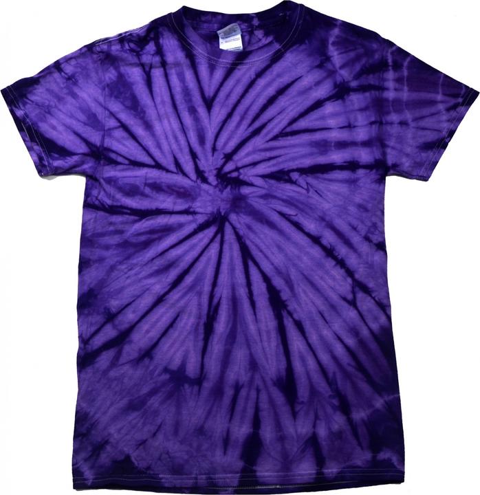 Ragno viola