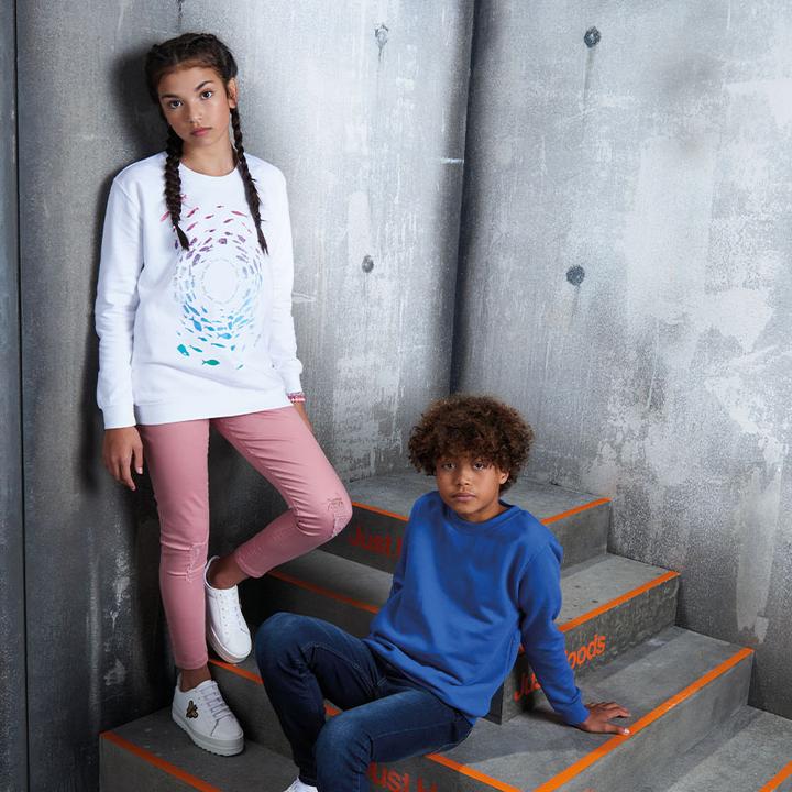 Image du produit Awdis Just Hoods Pullover Sweatshirt Unicolore (116)