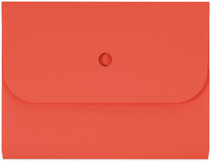Actual product image Elco Document folders Ordo Forte (320 x 245 mm, 25 x)