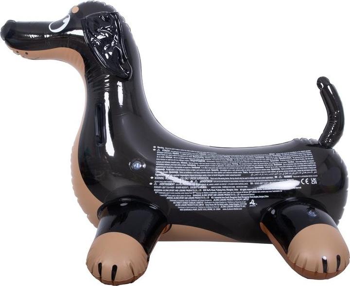Image du produit Jilong Pompe SUP