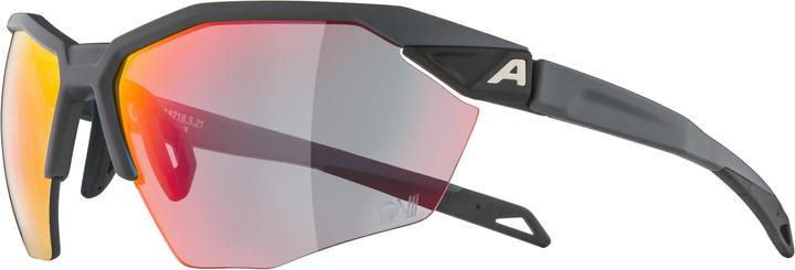 Actual product image ALPINA SPORTS Twist Six HR QV (Grey Matt, Rainbow)