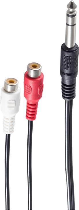 Immagine prodotto Shiverpeaks BS30461 Cavo audio 0,2 m 6,35 mm 2 x RCA Nero (0.20 m)
