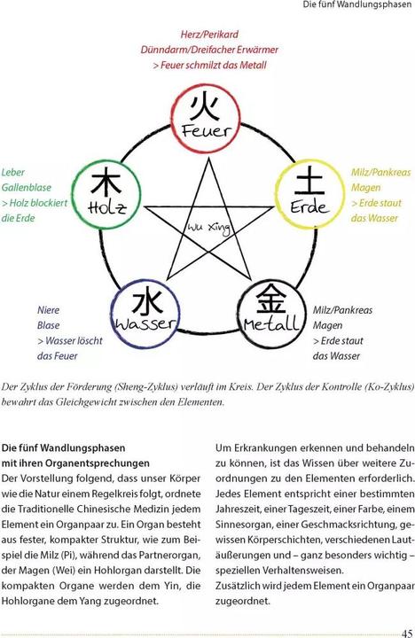 Actual product image Akupunktur beim Pferd (German, Ina Gösmeier, 2022)