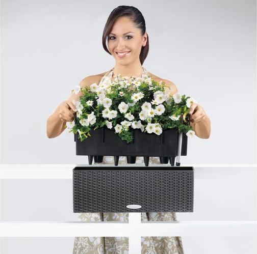 Produktbild Lechuza Balconera Cottage (19 cm)