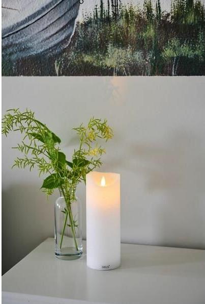 Actual product image Sirius Sara (1 x)