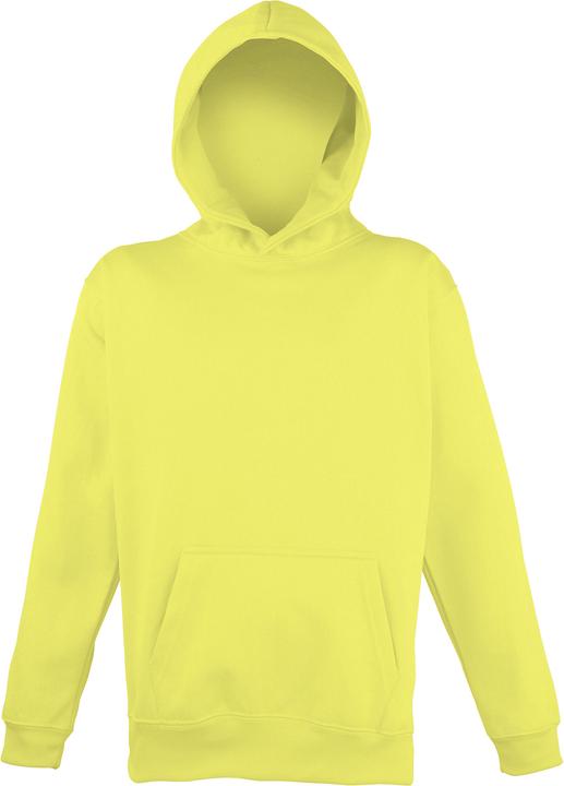Image du produit Awdis Pull à capuche (140)