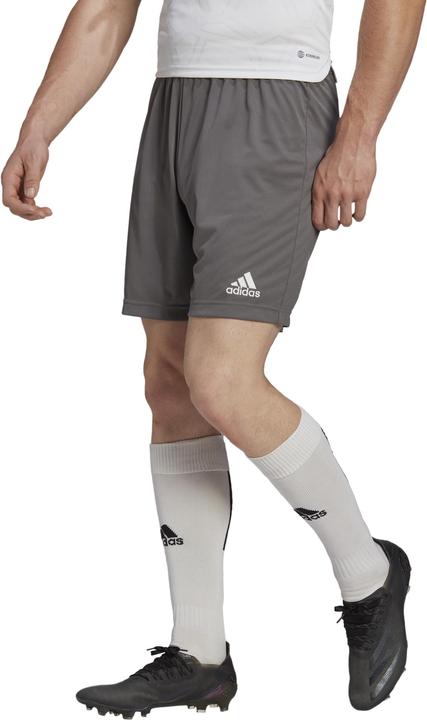 Actual product image adidas Entrada 22 Shorts (3XL)