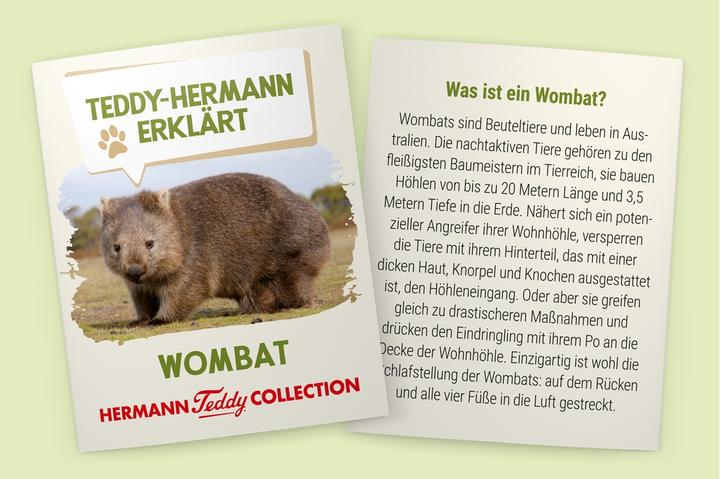 Image du produit Teddy Hermann Wombat 26 cm (16 cm)
