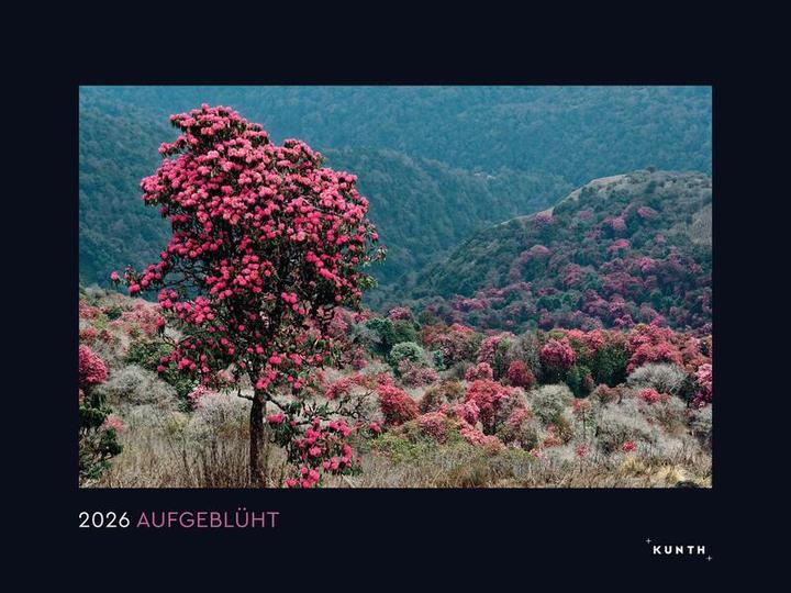 Image du produit Aufgeblüht - Wandkalender 2026 (60 x 45 cm, Couverture rigide, Allemand)