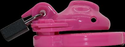 The Vice Chastity Cage Clitty