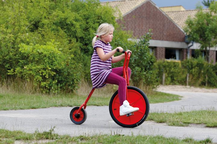 Actual product image Winther Viking penny-farthing