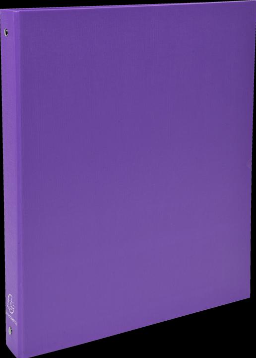 Viola