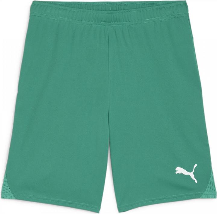 Produktbild Puma teamGOAL Shorts (L)